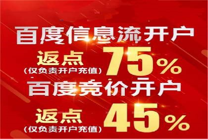 SEM竞价推广案例：打造行业领先的广告投放策略